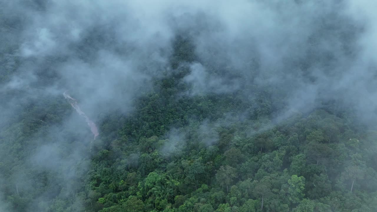 无人机在泰国南的原始丛林热带雨林上空拍摄。鸟瞰图，移动在一个热带雨林树冠在一个缓慢的步伐美丽的绿色自然背景的热带森林。视频下载