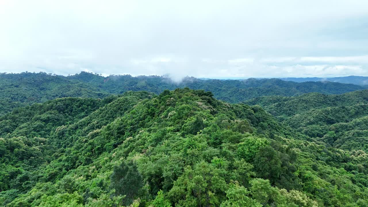 无人机在泰国南的原始丛林热带雨林上空拍摄。鸟瞰图，移动在一个热带雨林树冠在一个缓慢的步伐美丽的绿色自然背景的热带森林。视频下载