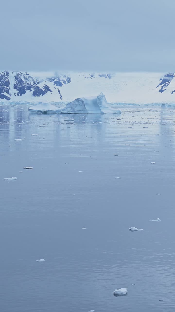 南极冰和海洋的冰山海景，垂直南极半岛冬季自然视频，社交媒体，Instagram reel和抖音，海水和蓝色冰景观风景视频素材