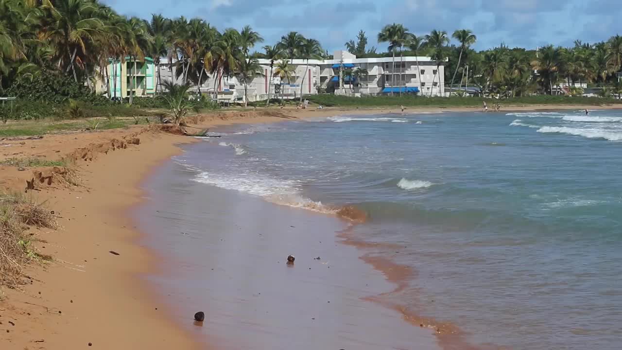 水冲在岸边美丽的海滩在波多黎各卢基洛(加勒比海岛屿旅游度假度假)田园诗般的空受欢迎的酒店旅游el yunque海浪冲浪沙滩云棕榈树视频素材