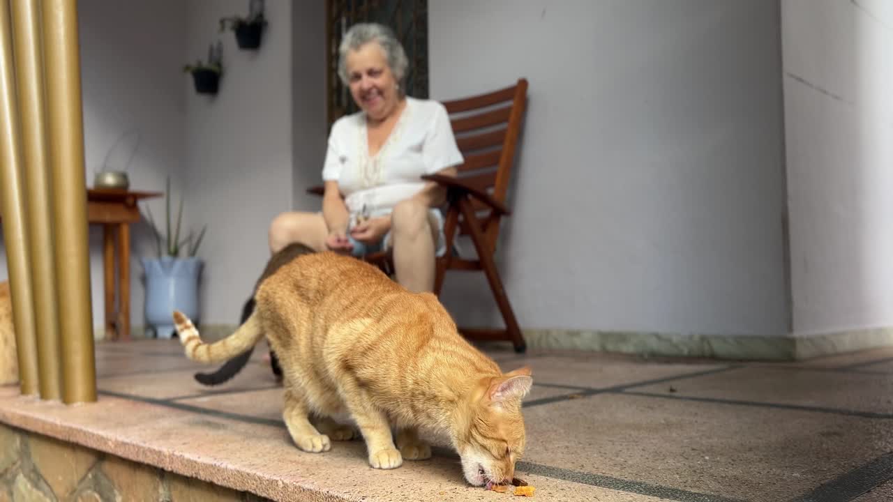 一位中年妇女和她的猫站在房子的阳台上视频下载