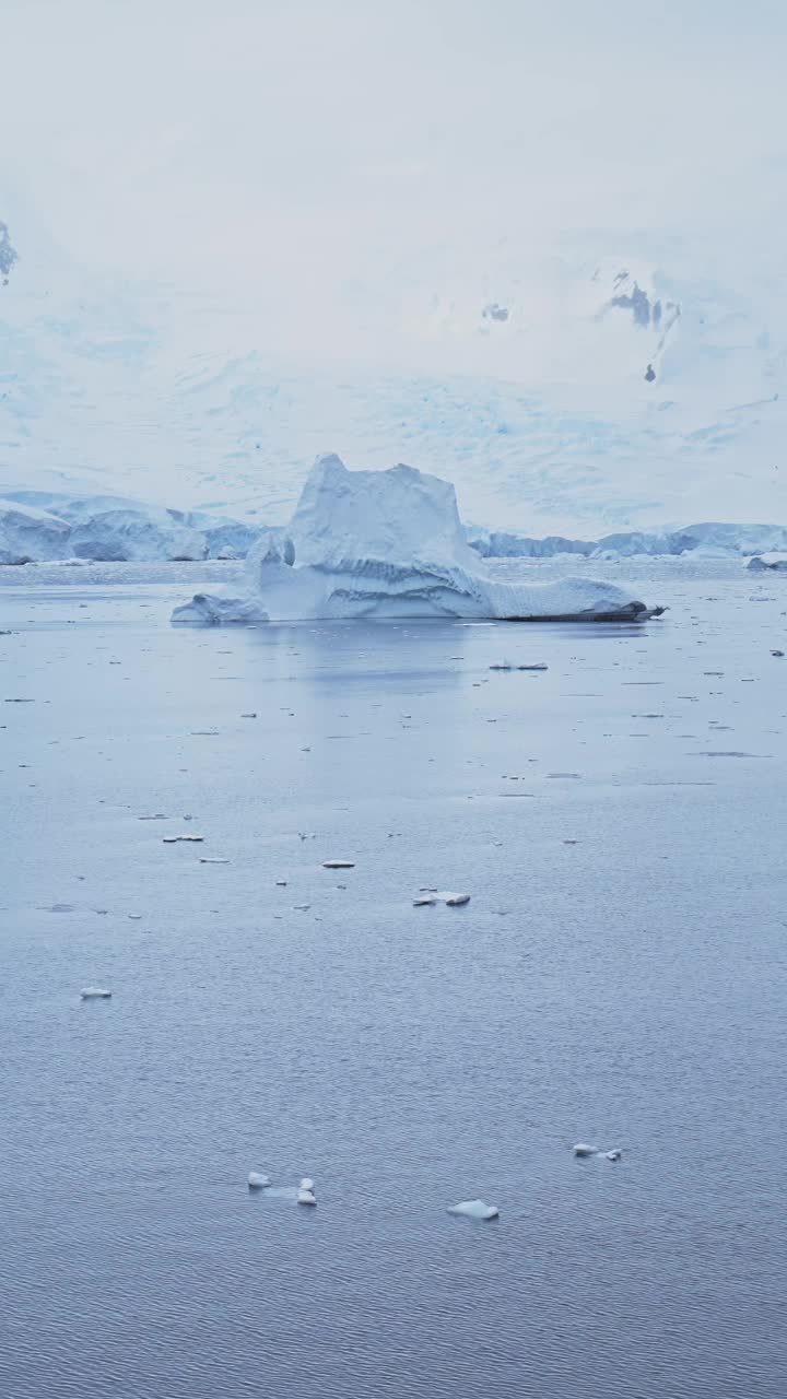 南极洲冰山冰形成漂浮在海洋海水上，社交媒体的垂直视频，Instagram Reels和抖音，南极半岛冬季景观风景和冰景观视频素材