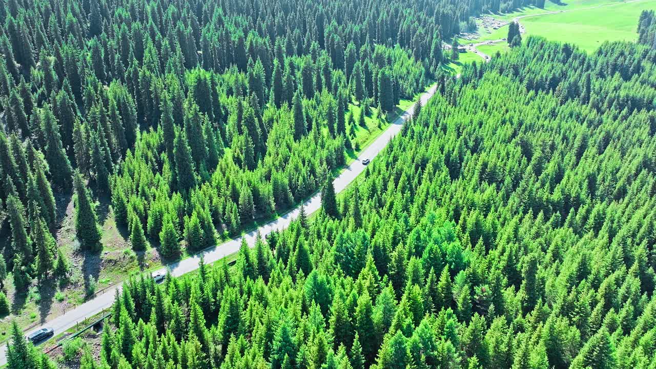 新疆道路与森林景观鸟瞰图视频素材