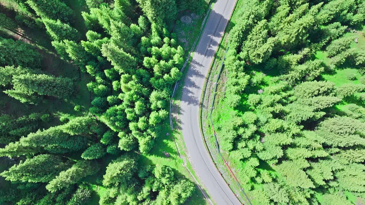 新疆道路与森林景观鸟瞰图视频素材