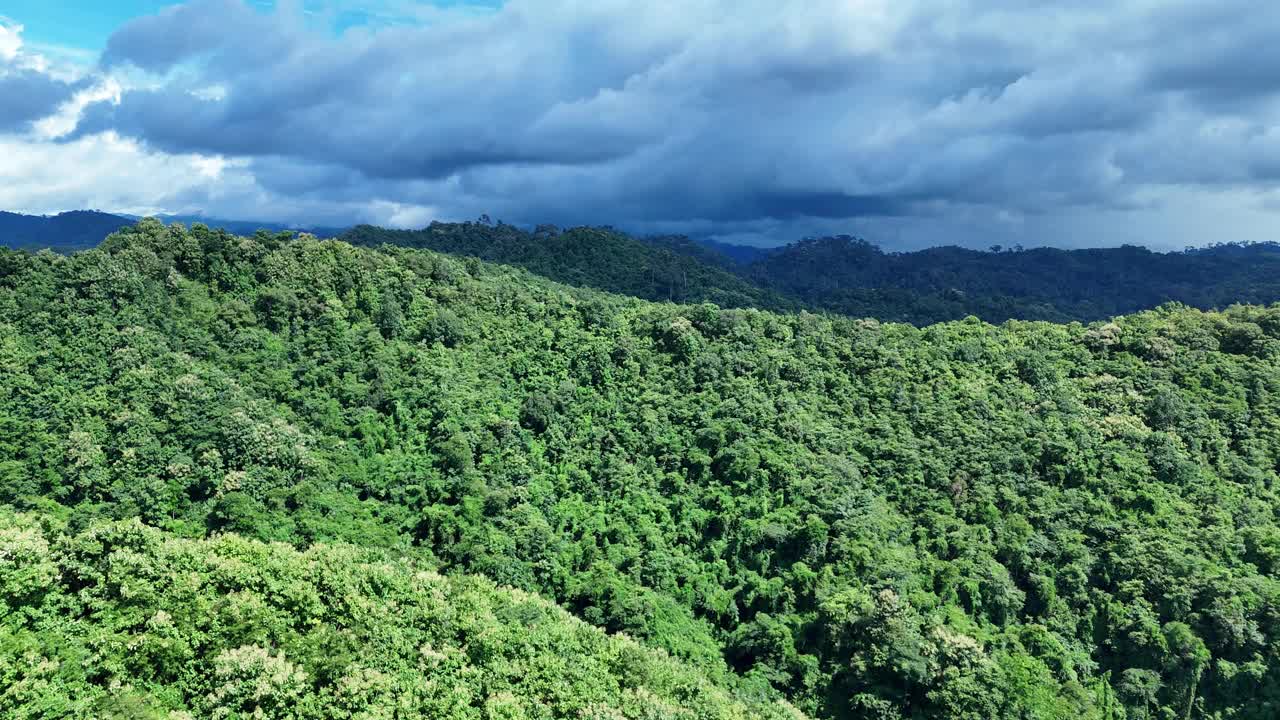 无人机在泰国南的原始丛林热带雨林上空拍摄。鸟瞰图，移动在一个热带雨林树冠在一个缓慢的步伐美丽的绿色自然背景的热带森林。视频下载