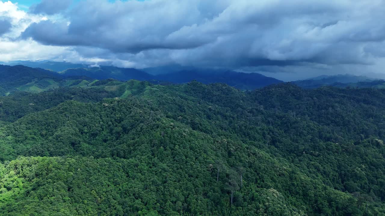 无人机在泰国南的原始丛林热带雨林上空拍摄。鸟瞰图，移动在一个热带雨林树冠在一个缓慢的步伐美丽的绿色自然背景的热带森林。视频下载