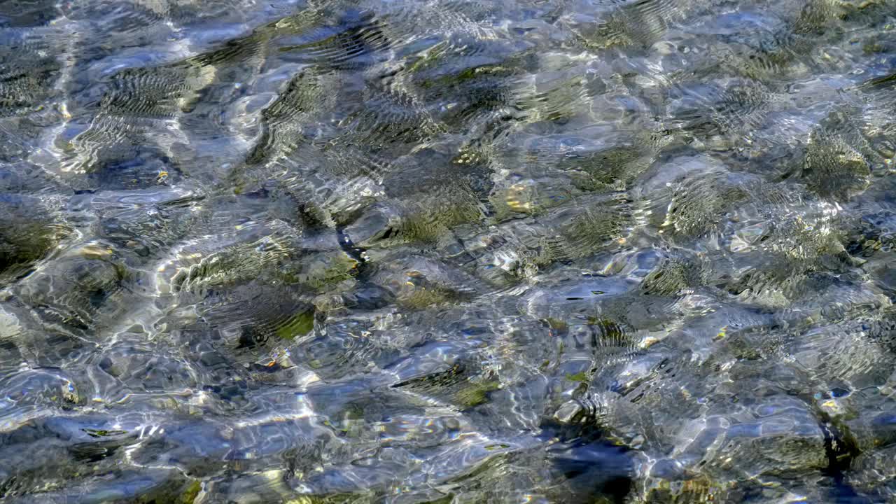 浅水流过岩石河床。水很清澈，可以透过涟漪看到石头。清澈的水流过光滑的暗色岩石。视频素材