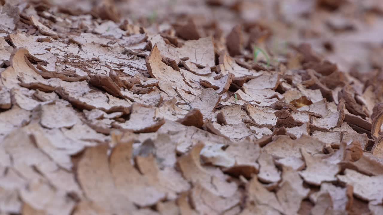 干裂的地球视频素材