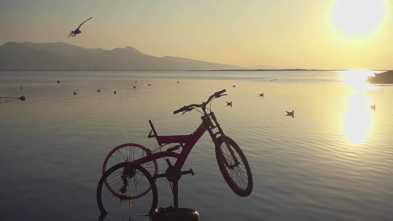 海里的自行车和沙滩上的海鸥视频素材