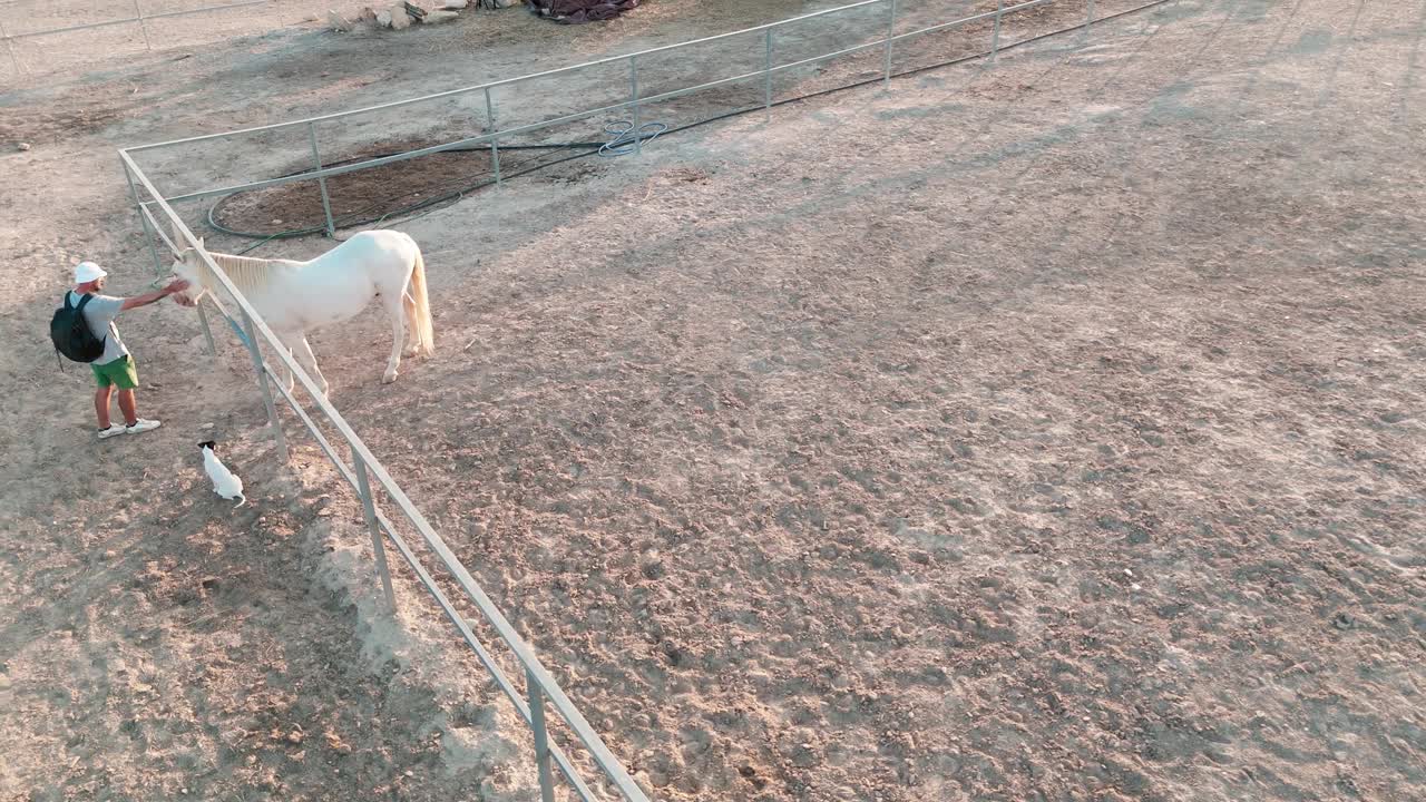 俯视图一名游客背着双肩包，抚摸着站在围栏里的白马，小狗在旁边等着。无人机拍摄视频下载