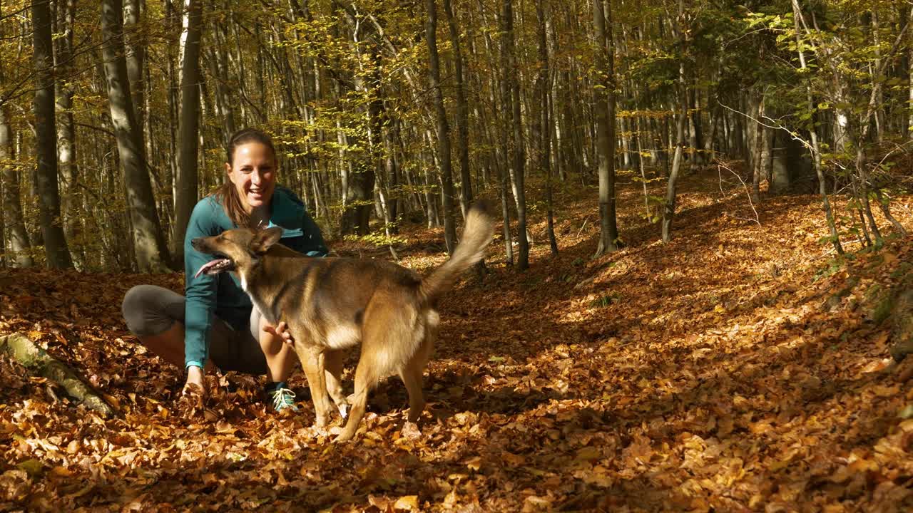 快乐的女人和混血狗在秋天的森林里玩着五颜六色的树叶视频素材