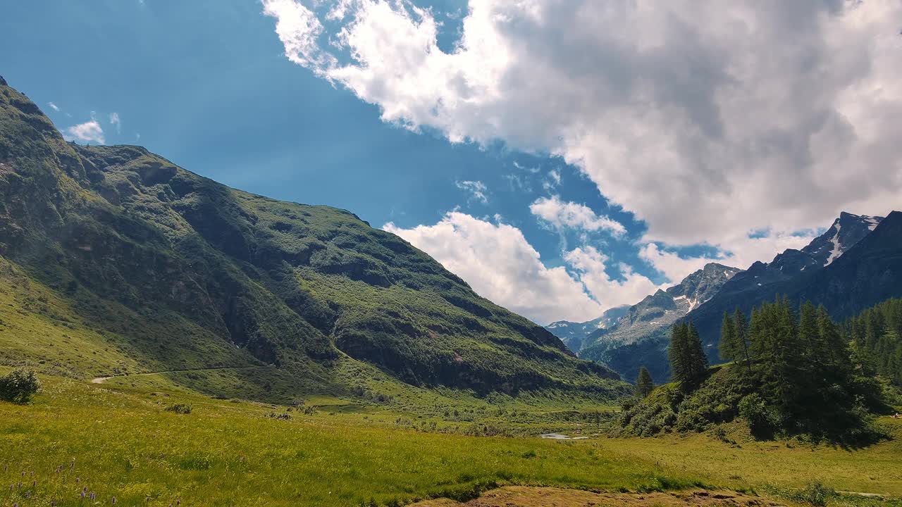 风景如画的夏季高山草地与雄伟的山脉背景完美的自然主题设计视频素材