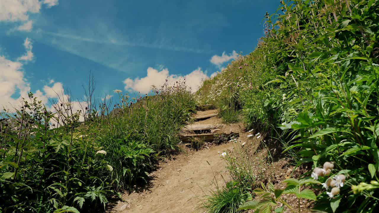 在一个阳光明媚的日子里，在郁郁葱葱的山上徒步旅行视频素材