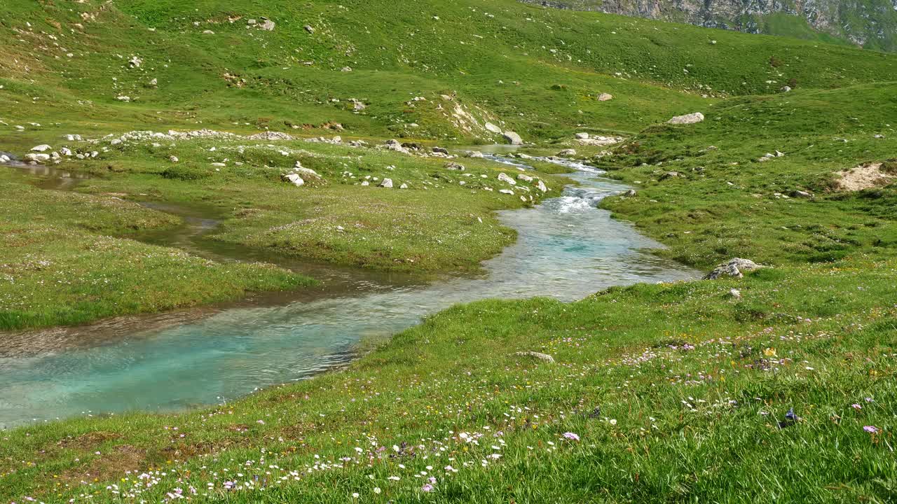 高山景观与水晶清澈的溪流和盛开的野花视频下载