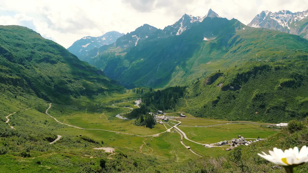 风景如画的夏季阿尔卑斯山谷:野花和蜿蜒的道路视频下载