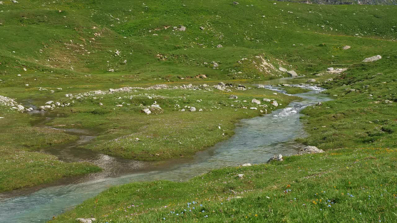 绿意盎然的山谷里的夏日溪流视频下载