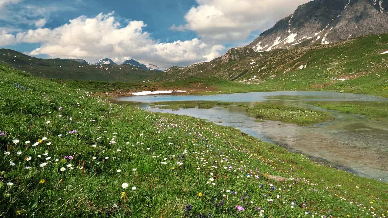 高山景观与夏季开花草甸和山湖视频下载