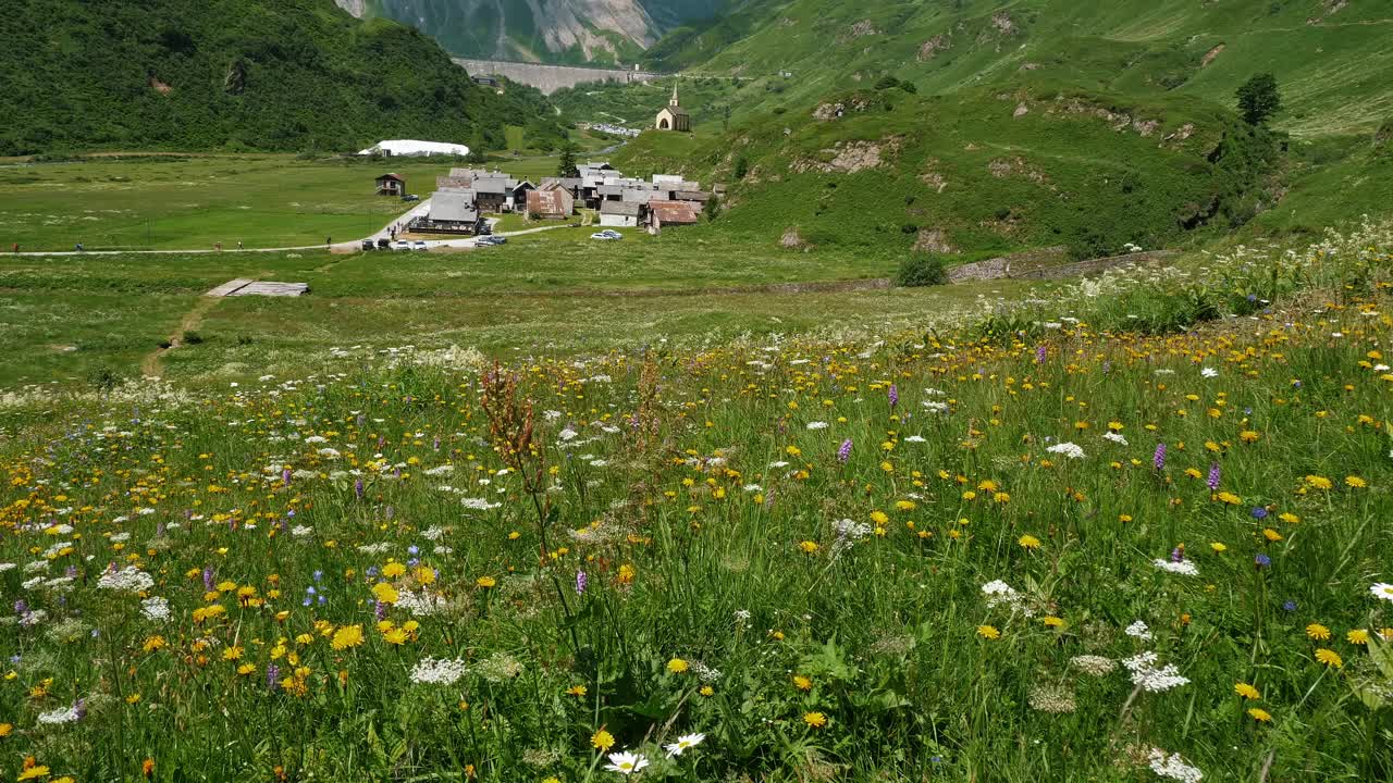 夏季草地和乡村坐落在郁郁葱葱的山谷视频素材