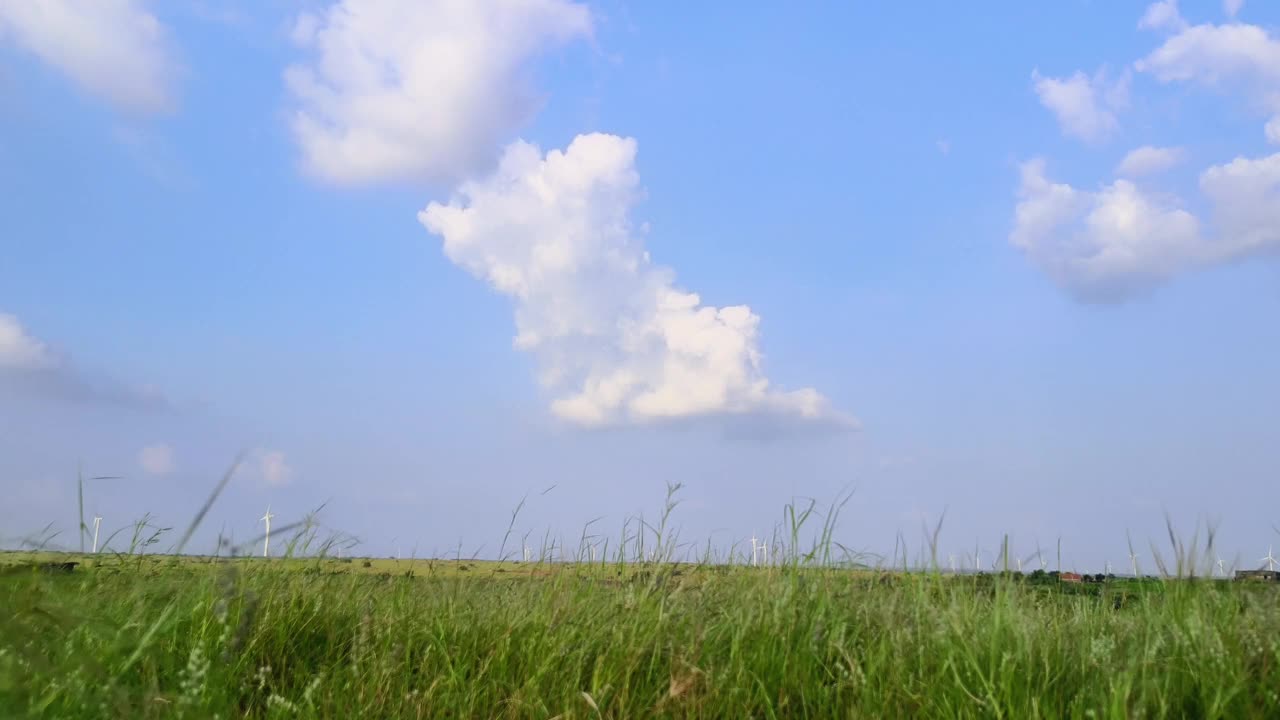 草地面积的时间变化视频下载