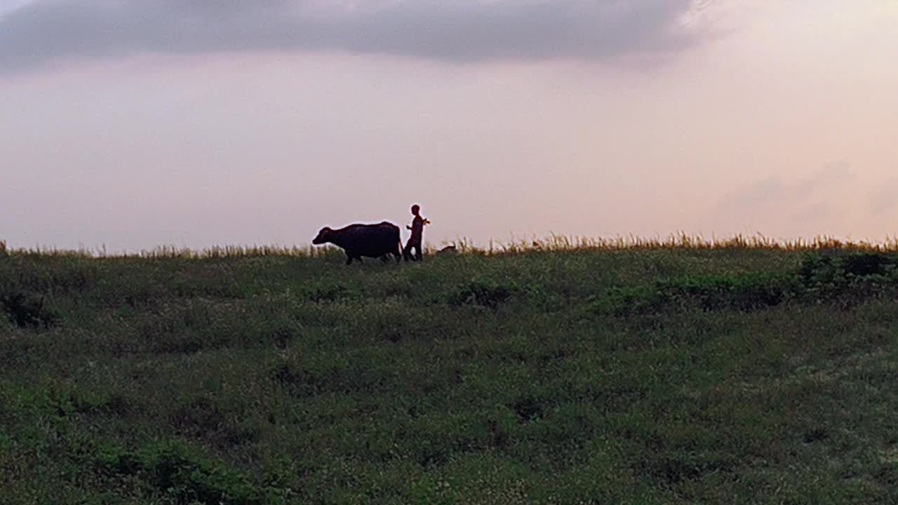 草原风景视频素材