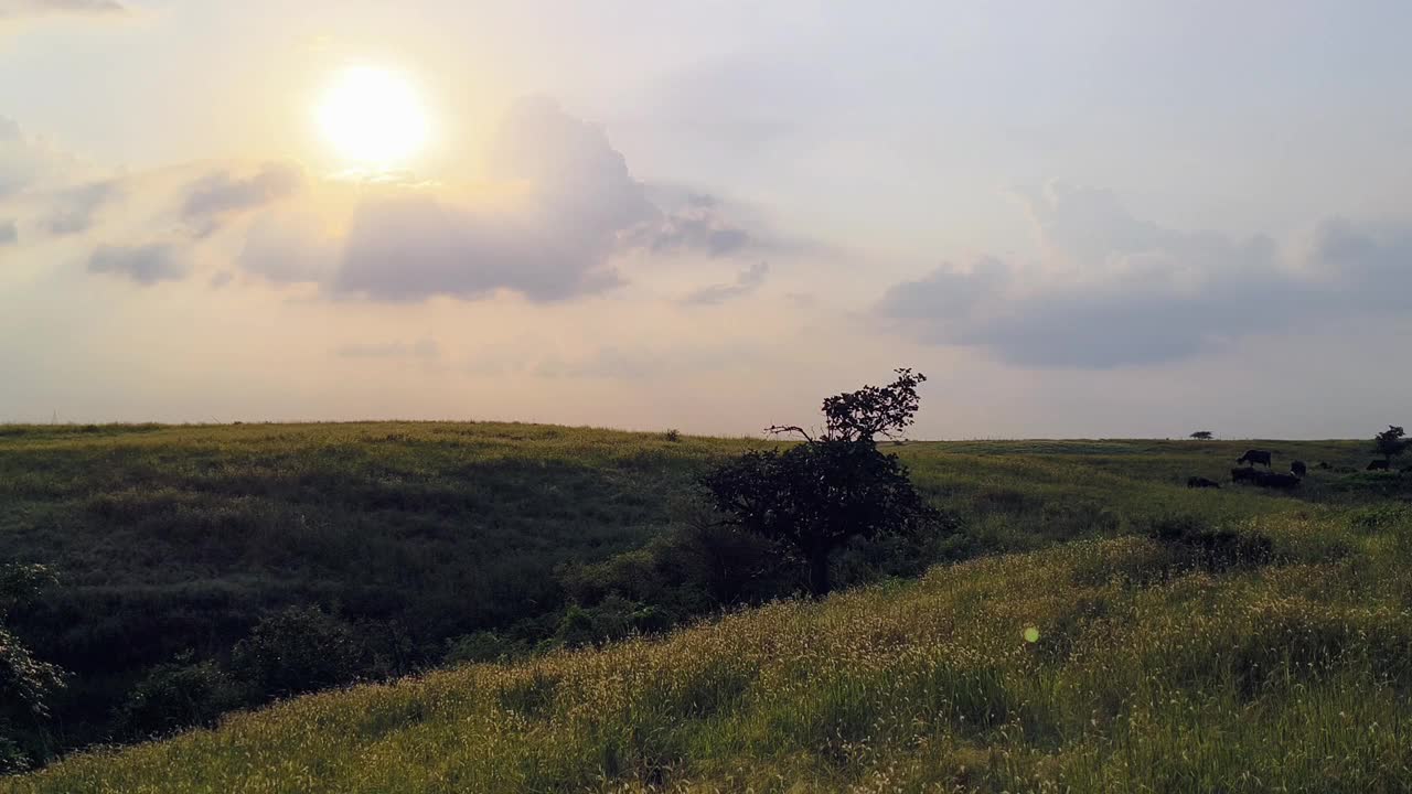 草原风景视频素材