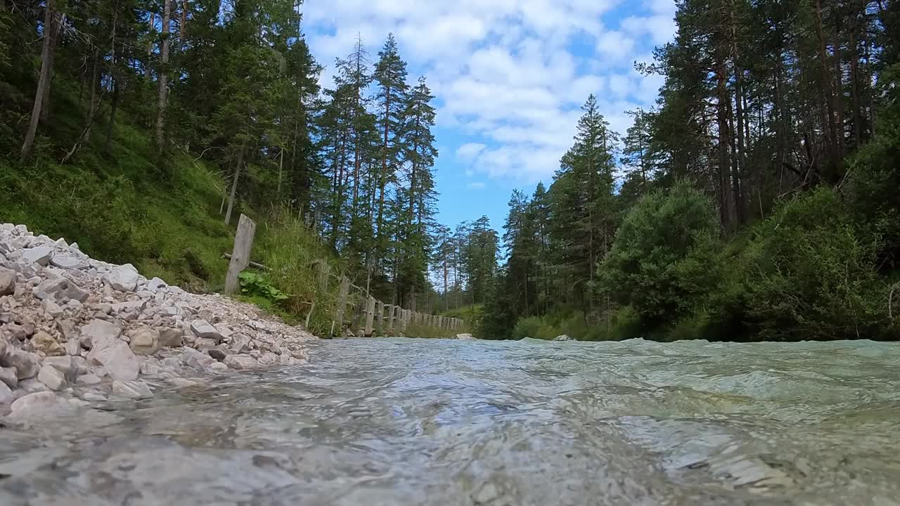 宁静的森林，清澈的河水视频素材