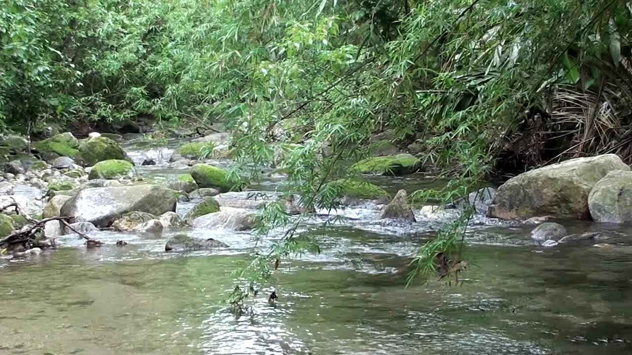 在蒙泰罗罗巴托河，<s:1>圣保罗视频下载