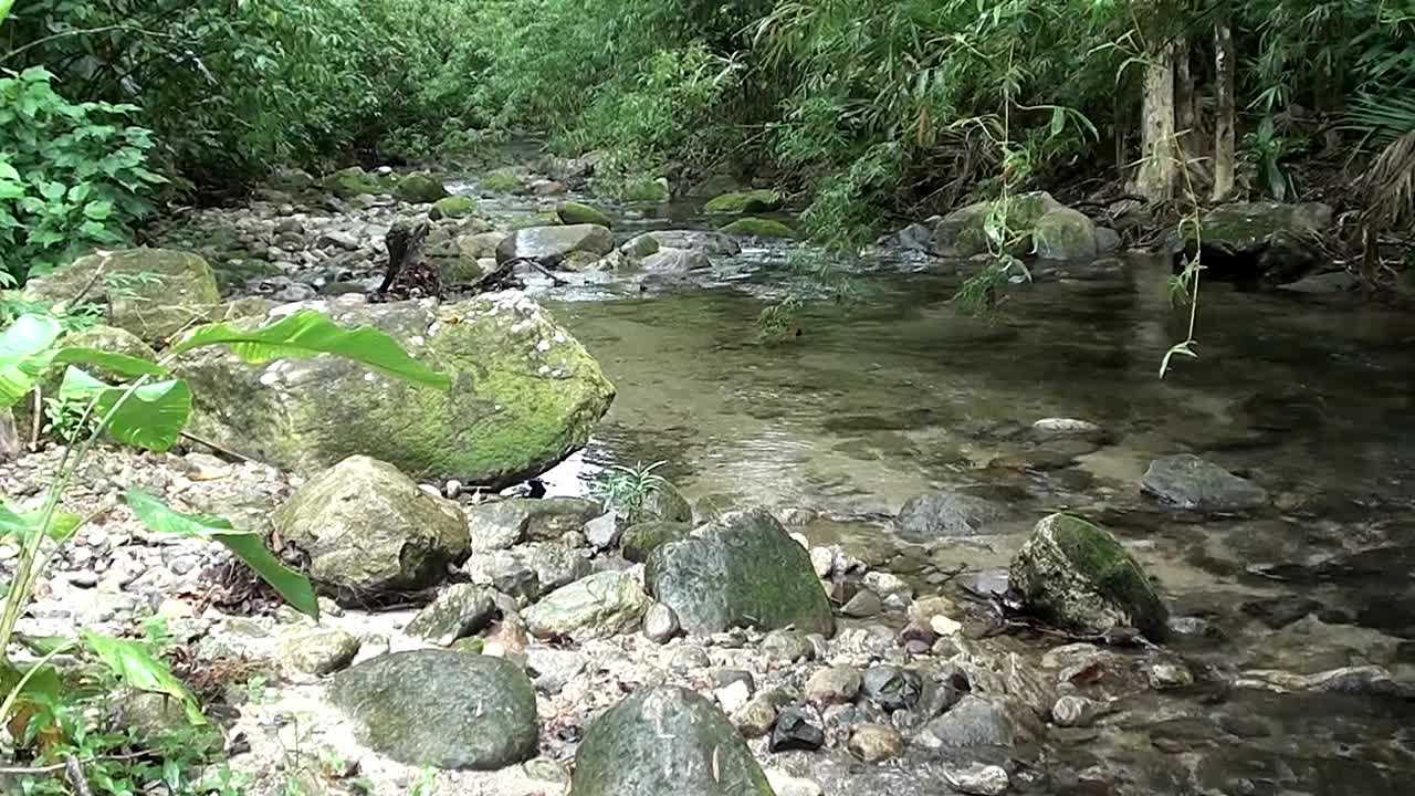 在蒙泰罗罗巴托河，<s:1>圣保罗视频下载