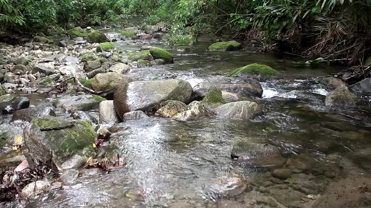 在蒙泰罗罗巴托河，<s:1>圣保罗视频下载