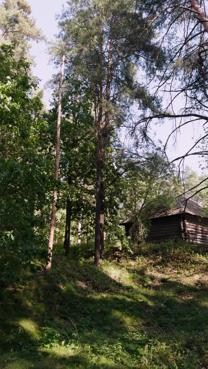 夏天松树林中的木屋视频素材