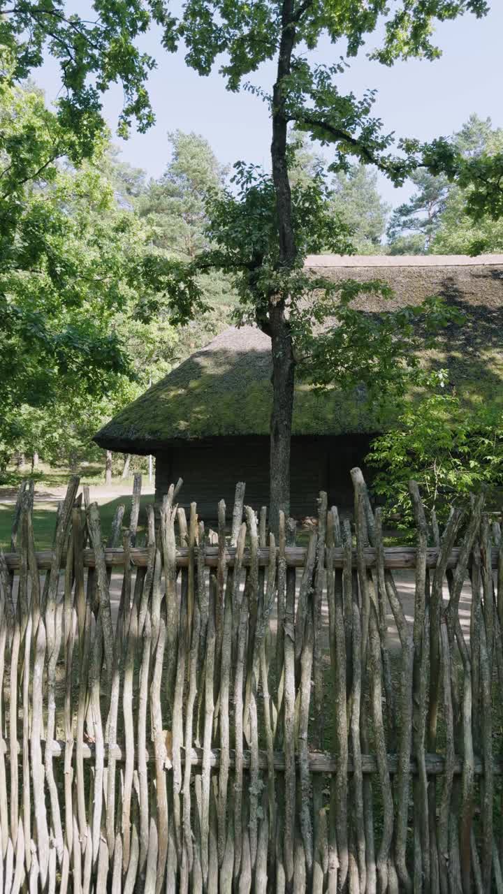 夏天松树林中的木屋视频下载