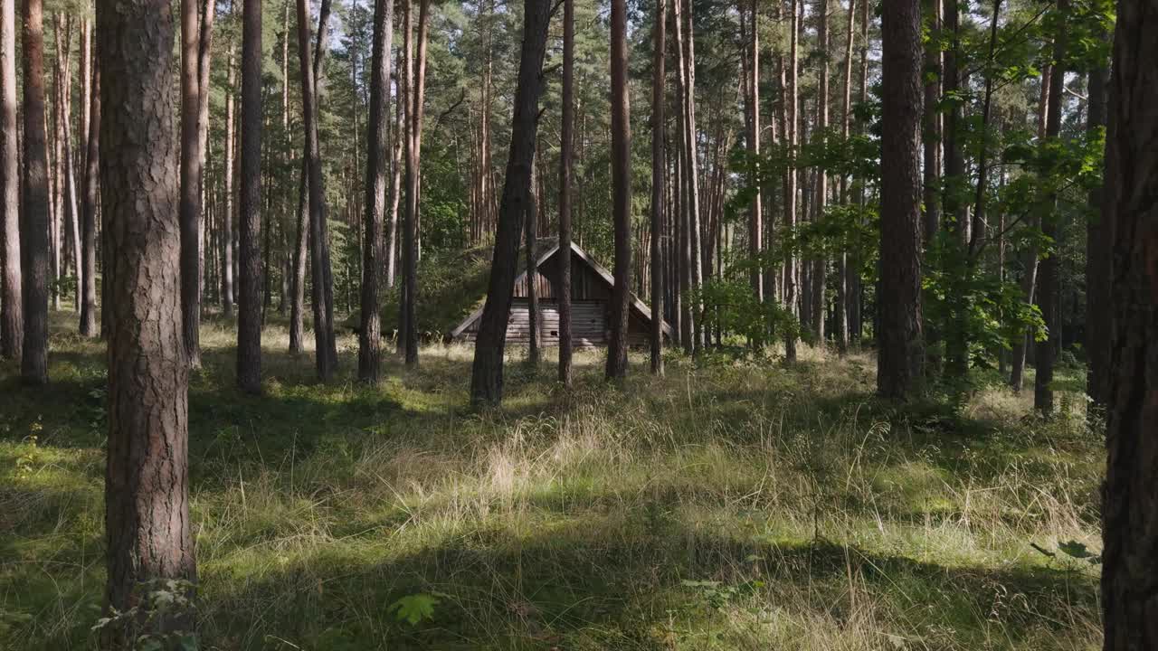 夏天松树林中的木屋视频下载