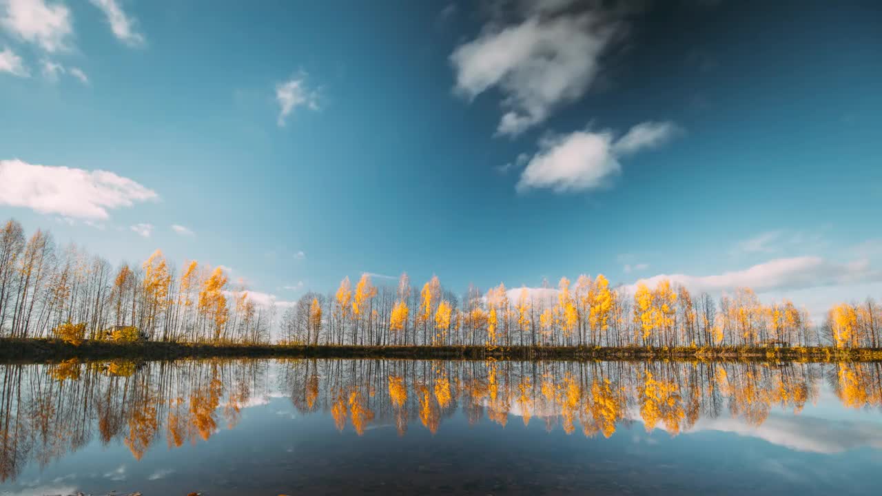 湖岸秋林林荫。景观林地滑块时间推移，时间推移。反射在水面上的广角，平静的运动。日落下的秋江景观视频下载