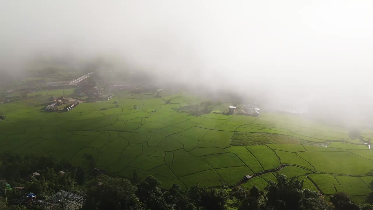 鸟瞰图，早晨稻田的景色视频素材