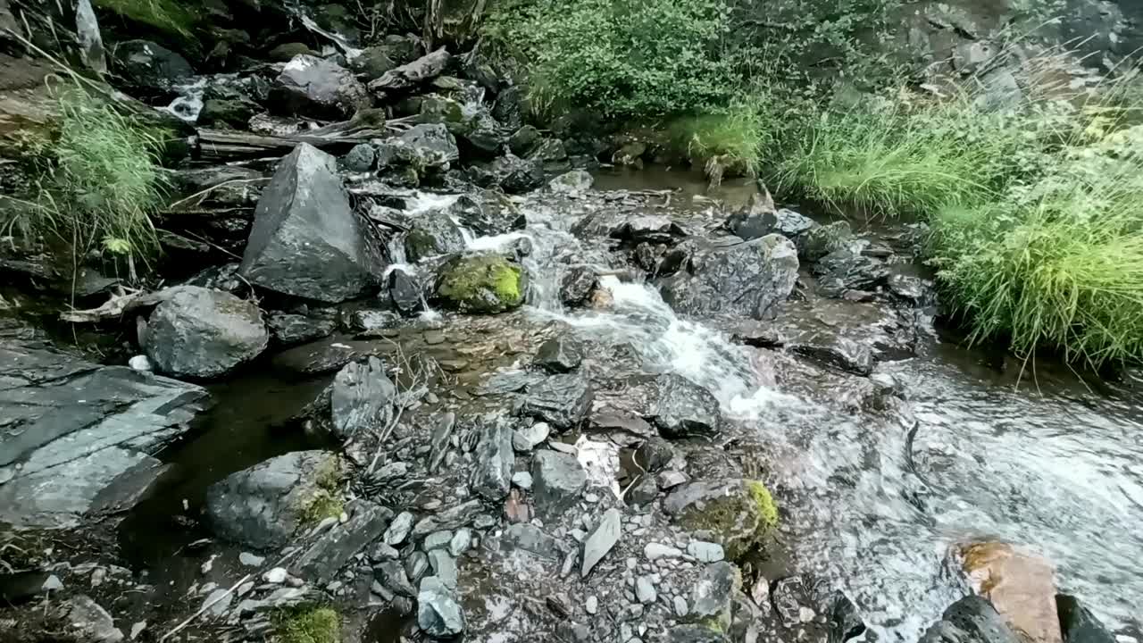 在一个阳光明媚的夏日早晨，一条湍急的山涧绕过巨大的岩石，穿过茂密的针叶林。视频下载