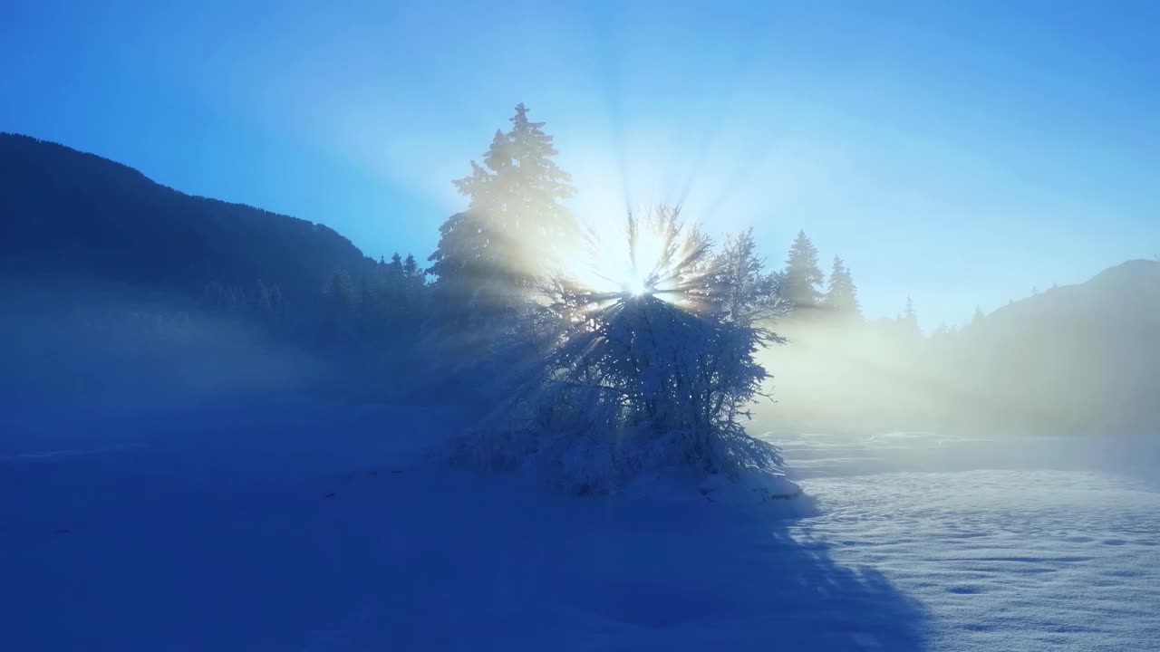 在雾天，阳光透过白雪皑皑的树林照进来视频下载