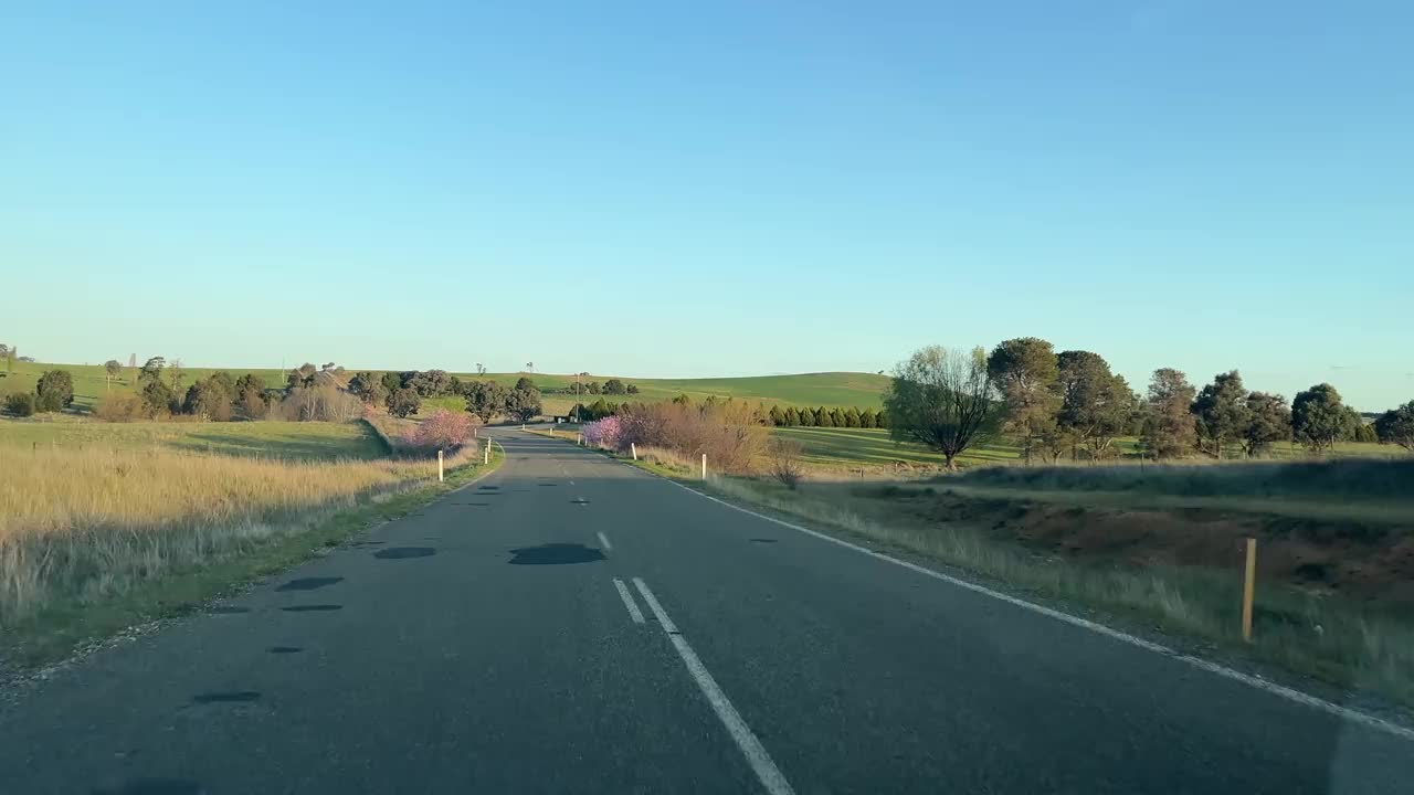 一辆汽车行驶在乡间的单车道高速公路上，经过樱花树，窗外的景色视频素材