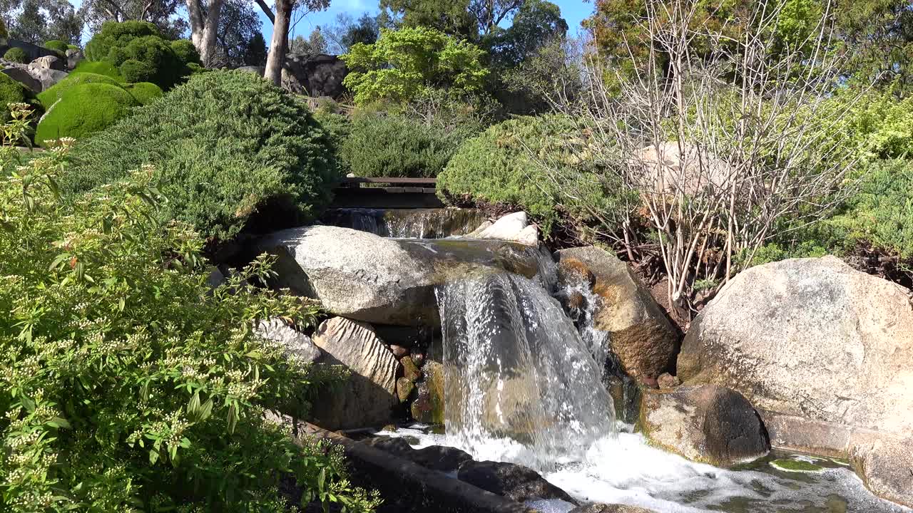 一个精心修剪的日本花园，郁郁葱葱的绿叶在一个宁静的环境视频素材