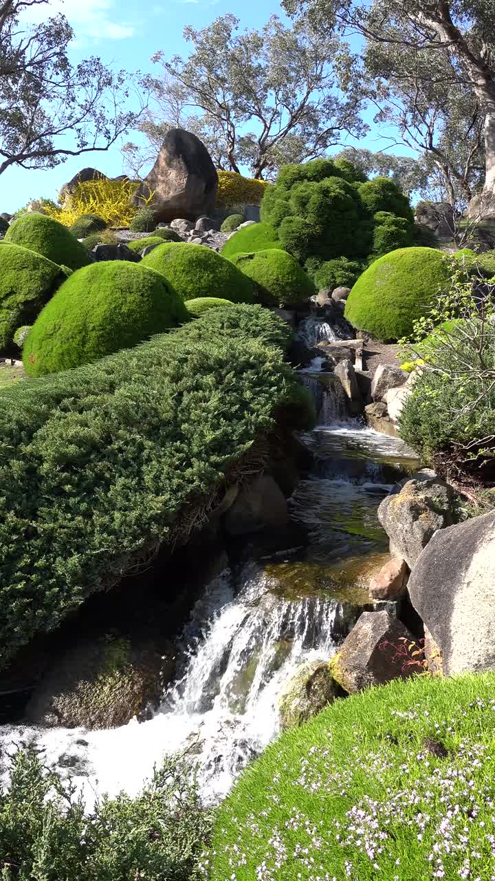 瀑布流过一个精心修剪的日本花园，郁郁葱葱的绿叶在一个宁静的环境视频下载