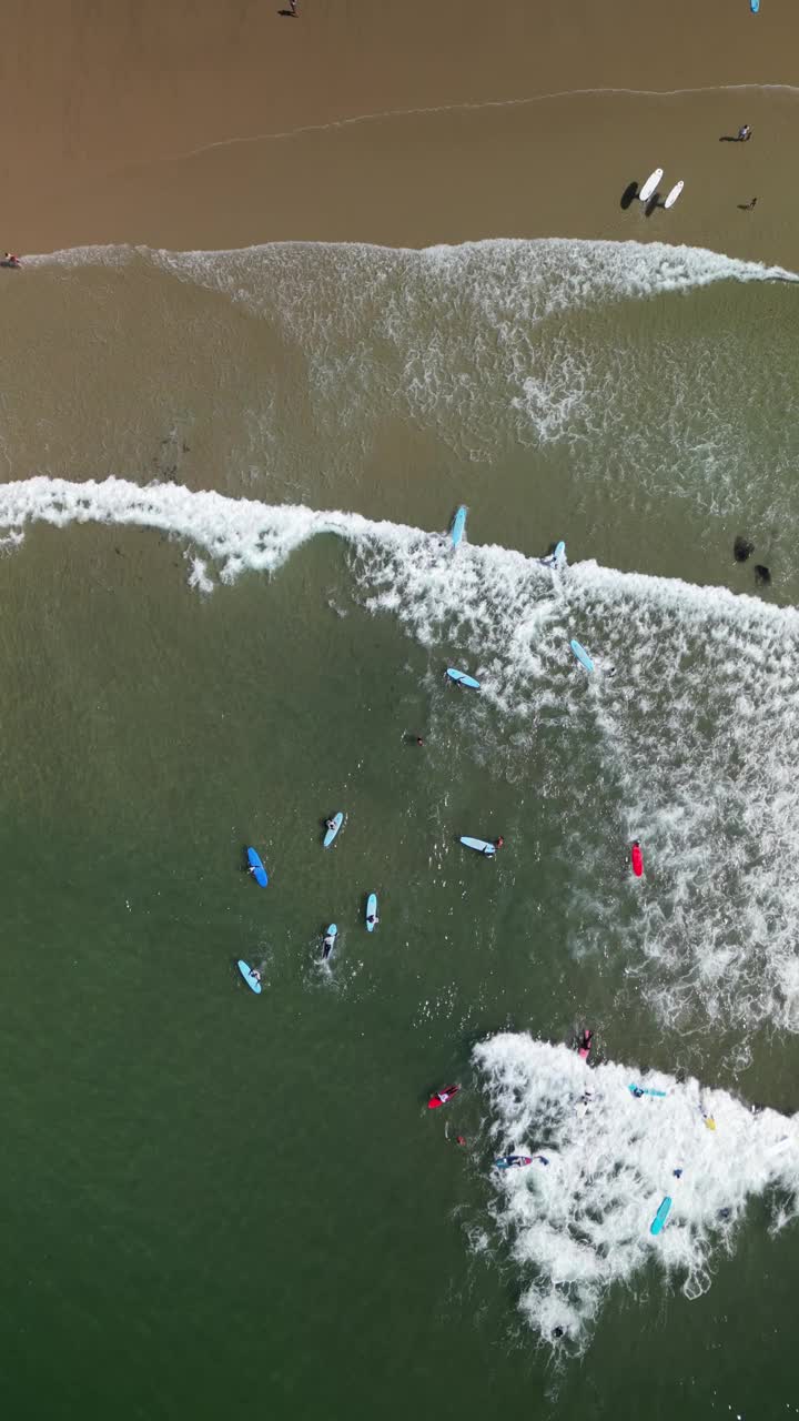 在阳光明媚的日子里，冲浪者在海滩上乘风破浪，多块色彩鲜艳的冲浪板视频下载