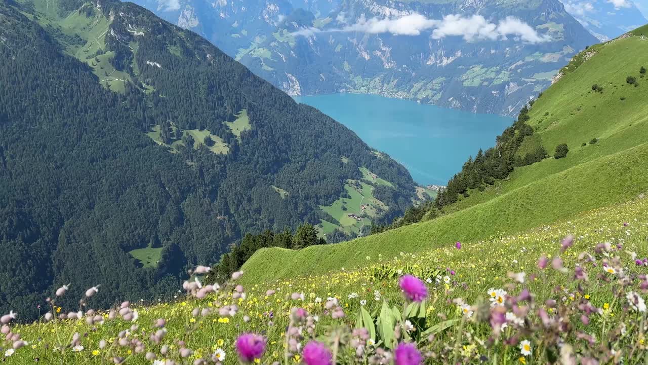 瑞士斯图斯岭徒步旅行的风景，卢塞恩湖的顶峰视频下载