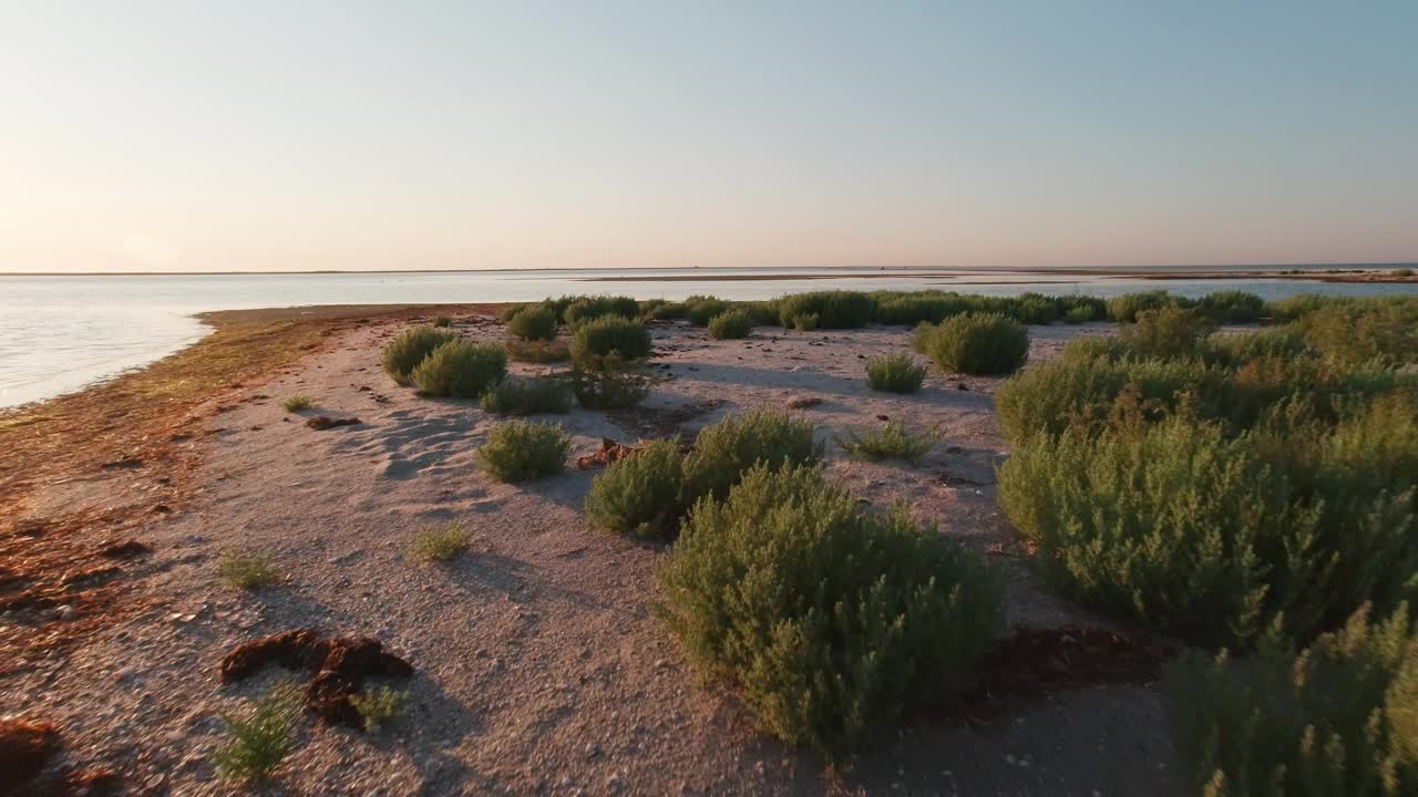 金伯恩吐在初夏的早晨。草原植被和保护区视频下载