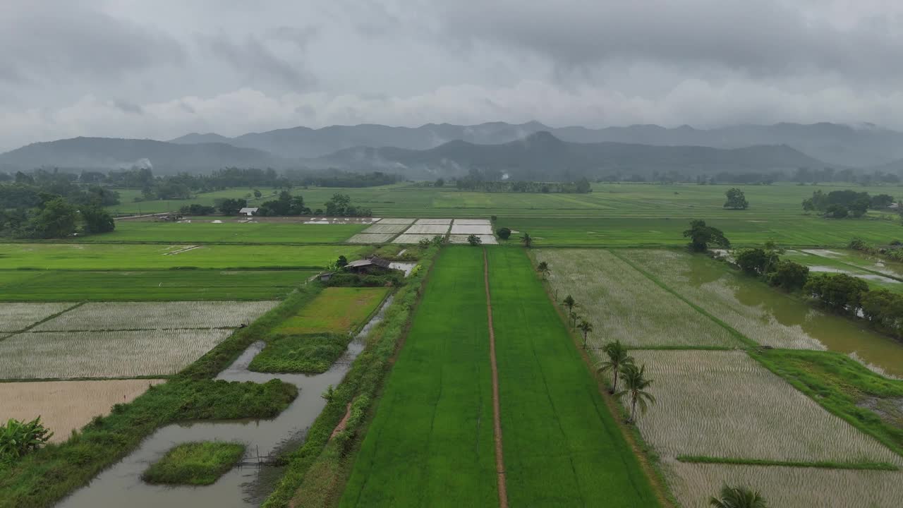 雨中泰国清莱省Pa Daet区的农田鸟瞰图。视频下载