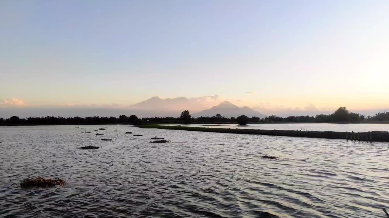 宁静的鱼塘在前景中伸展开来，远处的Penanggungan山和Semeru山的剪影沐浴在柔和的金色夕阳下视频下载