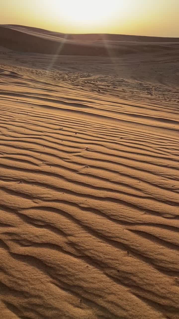 夕阳照在金色的沙丘上。沙漠模式视频下载