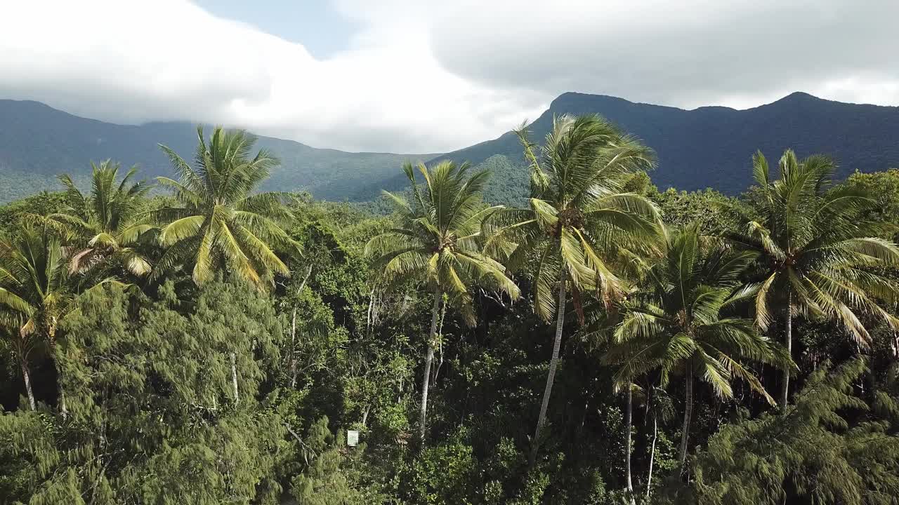 澳大利亚昆士兰的热带雨林河。风景优美的空中无人机广阔的平原自然纪录片在4K超高清。电影般的、田园诗般的海滨热带郁郁葱葱的绿色森林。视频下载