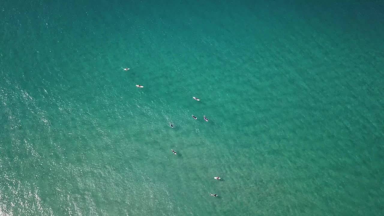 一群冲浪者在黄金海岸的大浪上划桨。概念美与和平在运动中在野性的自然视频下载