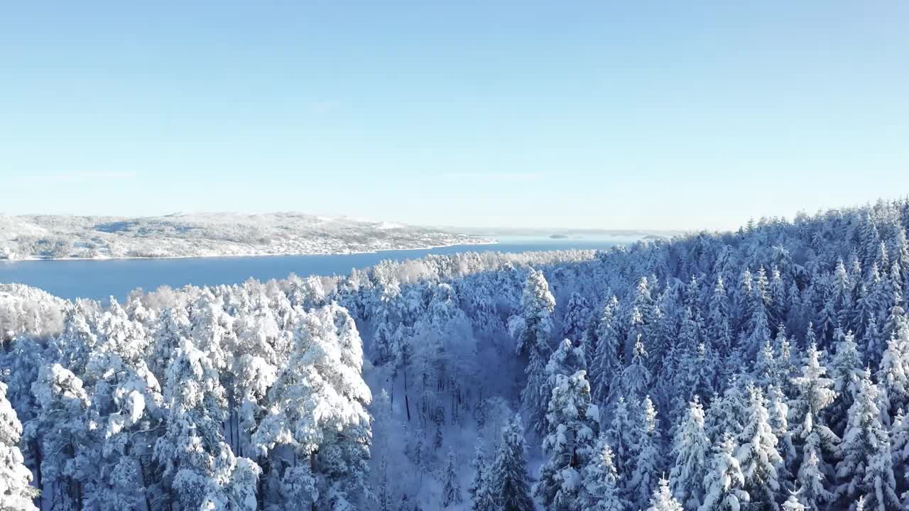 摄像机在海边的白雪皑皑的森林上空移动视频下载