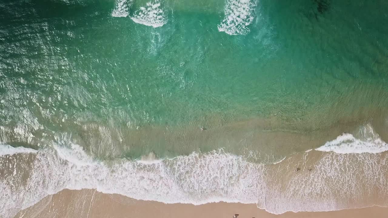 一群冲浪者在黄金海岸的大浪上划桨。概念美与和平在运动中在野性的自然视频素材