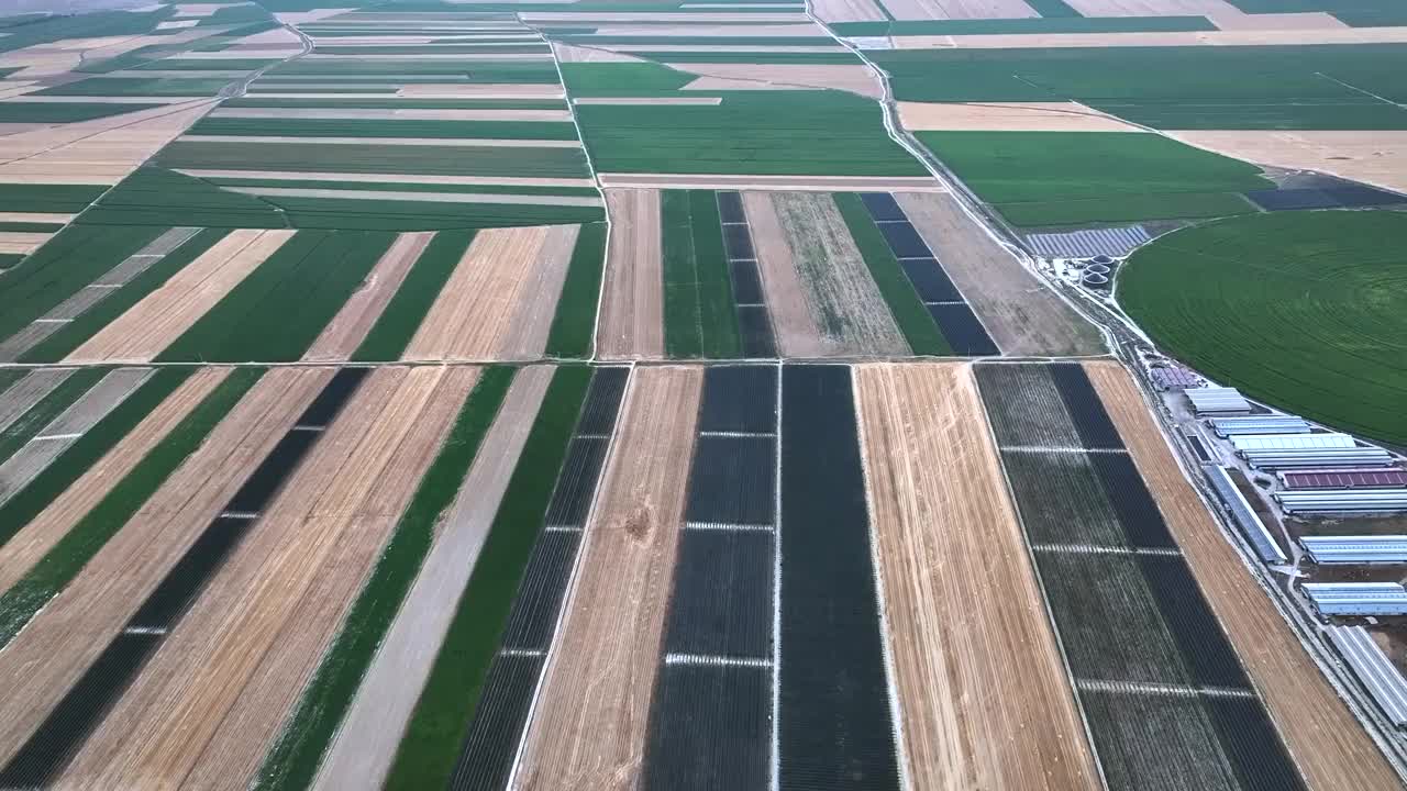 苹果园视频下载